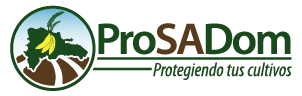 Prosadom