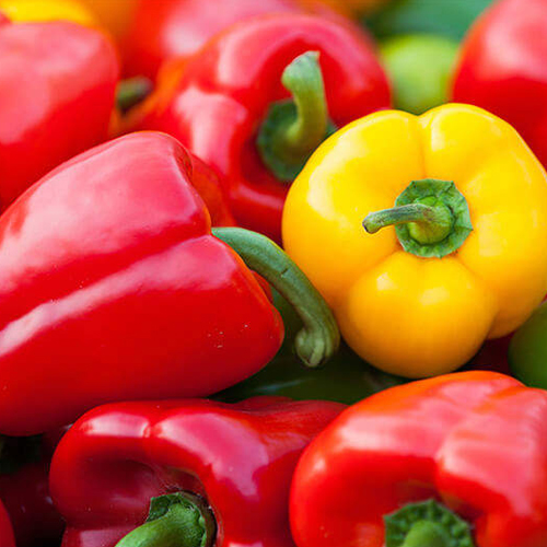 Cultivo Vegetales