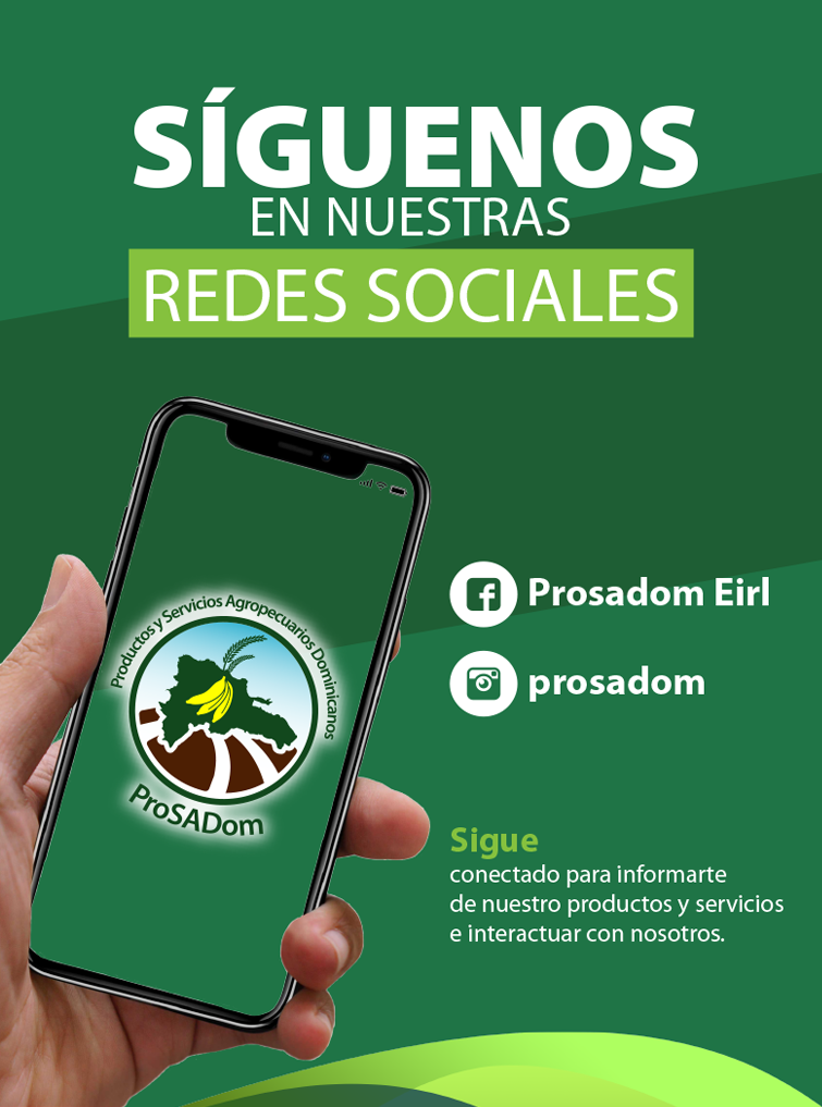 prosadom