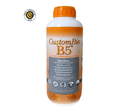 Custom Bio B5